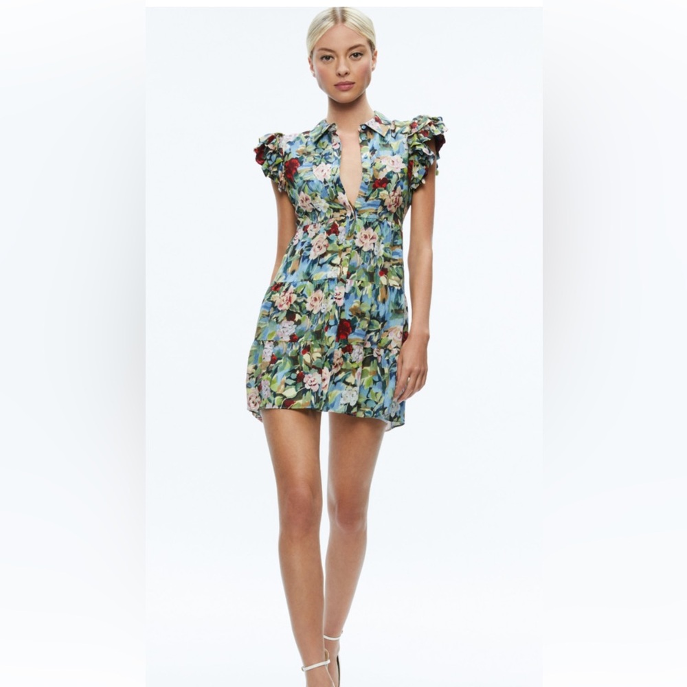NWOT ALICE+OLIVIA MEEKO RUFFLE SLEEVE BUTTON DOWN FLORAL DRESS,  SIZE 2